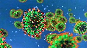 coronavirus